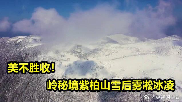 现在的人为什么都不愿结婚了呢？游戏画面