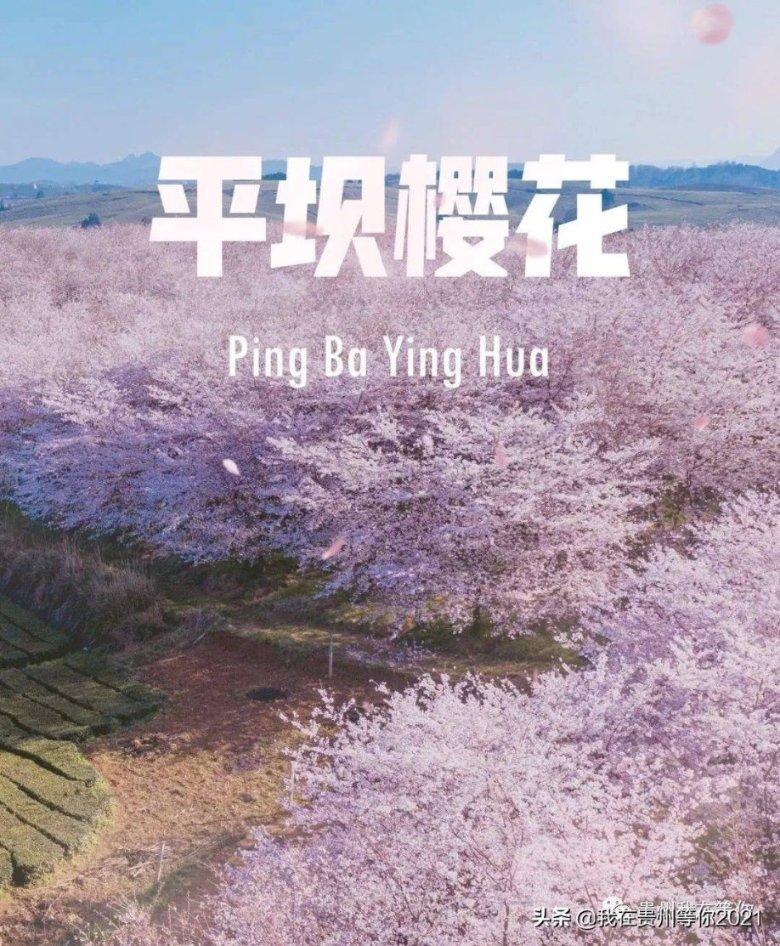 天启异闻录大结局,渥旃是寄生型外星生命,褚思镜永远留在海底