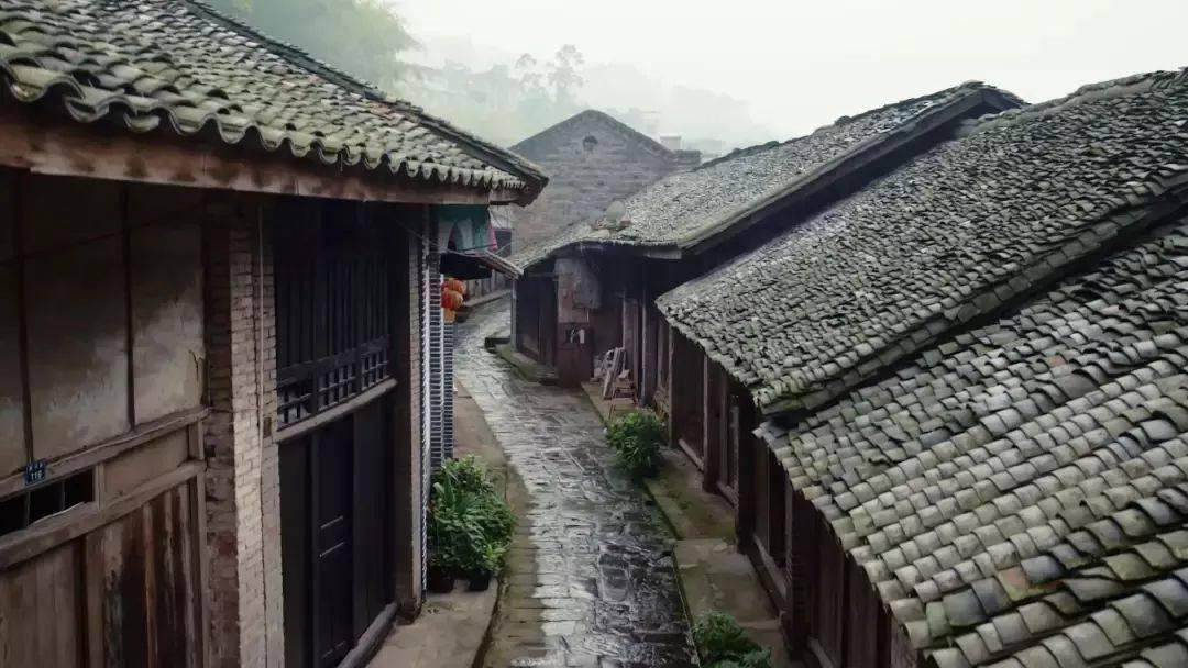 正泰光伏紫金项目怎么样?-wiki百科全书-2025-05-22已更新
